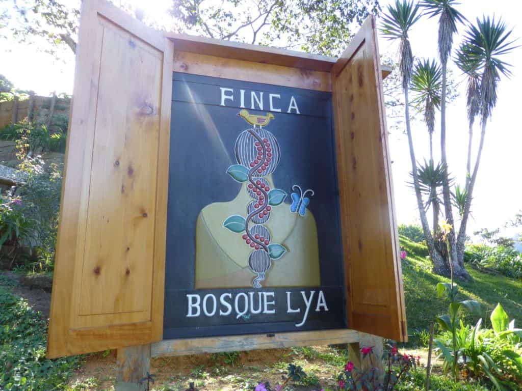 RIMG0388-2|finca la bosque lya|la bosque lya|bosque lya|bosque lya|bosque lya