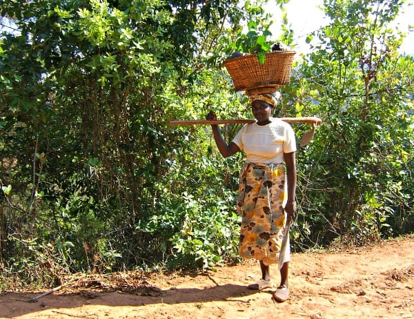 WOMAN-FARMER-COMING-FROM-HER-GARDEN-2|Mzuzu Women's AA - Malawi Coffee|Mzuzu Women's AA - Malawi Coffee|Mzuzu Women's AA - Malawi Coffee|Mzuzu Women's AA - Malawi Coffee