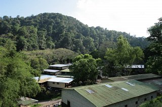 Colombian_coffee_cherry_beans-1-2|la-bastilla-estate-nicaragua|Coffea Arabica plantation, Coffee beans ripening on the rainy da|1.-Cusco-|Colombian_coffee_cherry_beans-1|Ipanema-Nursery|Ipanema-washing-2