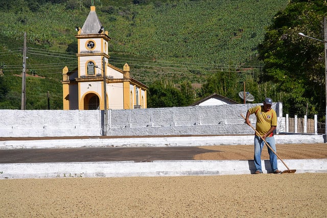 Fazenda Conquista - Brazilian Coffee with Notes of Strawberry and Peanut Butter